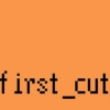 FIRST CUT