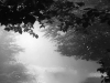 THE PICTURESQUE: Visual Pleasure and Intermediality in-between Contemporary Cinema, Art and Digital Culture