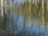 Affective Intermediality. Cinema between Media, Sensation and Reality