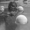 Immersion - multimedia exhibition in our Studio